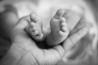 宝宝吃手要阻止吗